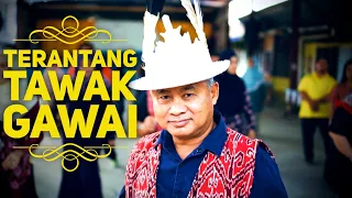 Download TERANTANG TAWAK GAWAI | Cover Ari Bala Pengajar SK Ulu Sungai Merah MP3