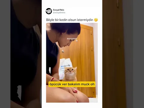 Böyle bir kedin olsun istermiydin 🤔