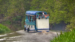 Borneo: A Klotok Cruise Into the Jungle