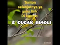Download Lagu mengenal jenis-jenis burung cucak-cucakan nonton selengkapnya link di komen#shortsvideo #kicaumania MP3