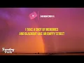 Maroon 5 ft. Megan Thee Stallion - Beautiful Mistakes (Lyrics)