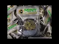 TMM The MINT Cannabis - A Look at One of Arizona s Top Dispensaries