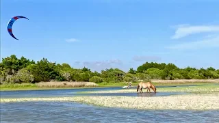 KITEBOARDING WITH WILD HORSES!!