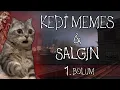 Download Lagu Kedi Memes \u0026 Salgın | 1.Bölüm | Mini Dizi