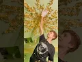 Download Lagu Gold leaf chinoiserie mural - Plam Palm, Pittsburgh #blanddesign #goldleaf #gilding #muralartist