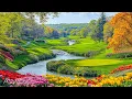 Download Lagu Rustgevende muziek voor de zenuwen 🌿 helende muziek voor hart en bloedvaten, spieren