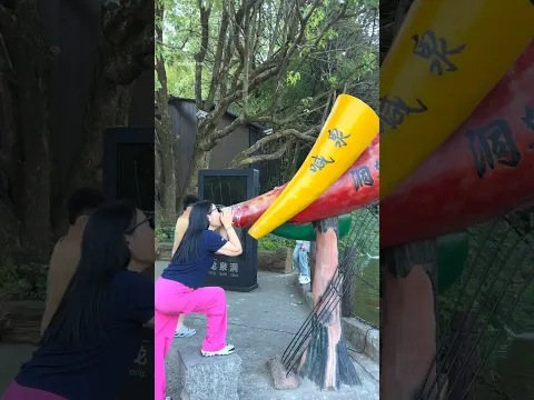 How voice activated water fountain works 🤷-5428C1