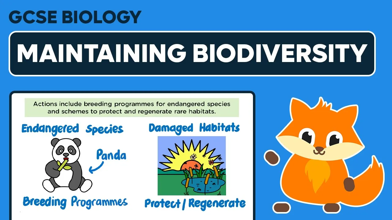 Maintaining Biodiversity - GCSE Biology