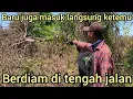 Download Lagu MASUK KE SEMAK BELUKAR DEKAT MINI ZOO AMAR PD KAGET ADA SI OREN BERDIAM DI DEKAT BATANG SAWIT