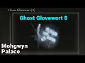 Ghost Glovewort 8 Locations x2 Mohgwyn Palace - Elden Ring