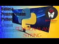BELAJAR PENGENALAN PADA BAHASA PEMROGRAMAN TERBARU MUDAH DAN MENYENANGKAN