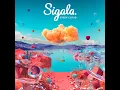 Wish You Well - Sigala & Becky Hill