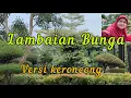 Download Lagu Lambaian Bunga - versi Keroncong - cover