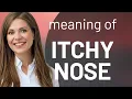 Itchy Nose More than Just a Tickling Sensation