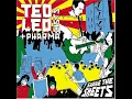 Ted Leo and the Pharmacists   Walking To Do