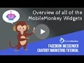 Overview of MobileMonkey Widgets