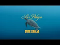 Download Lagu So many Turtles! Scuba Diving Curacao | La Palapa