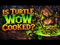 Why Turtle WoW s Future Is Uncertain
