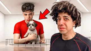 لقيت كلب القيصر اخيرا عند حمو ايهاب 