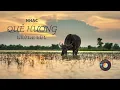 Download Lagu Nhạc quê hương không lời nghe để nhớ về nguồn cội.