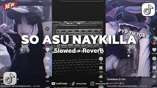 dj so asu naykilla slowed reverb viral tik tok 