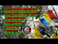 Download Lagu Suara pikat semua jenis burung besar dan kecil