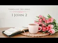 1 John 2 ESV Through the Bible Bible book