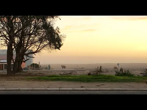 Desert Paradise [NL Trailer]