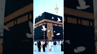 Bari Hasrat Hai Tere Bohy Ty Trending Viral Naat Islamicstatus Islam Love  Bari Hasrat Hai Tere Bohy Ty Trending Viral Naat Islamicstatus Islam Love