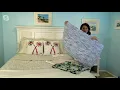 Tommy Bahama Printed Quilted Island Time Coverlet Set on QVC