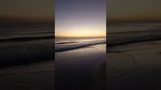 الدنيا ريشة في هواء 