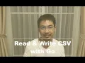 Read Write CSV with Go