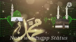 New Ringtone Status Hafiz Ahmed Raza Qadri Lo Madine Ki Tajali Si 