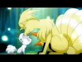 Alolan Vulpix meets Kanto Ninetales Cute Moment Pokemon Sun and Moon