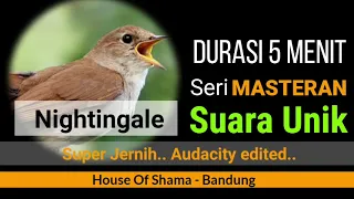 Download Seri Masteran Unik Nightingale ( Jernih) MP3