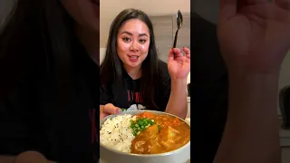 EXTRA CREAMY Japanese Chicken Curry 