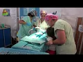 Download Lagu OS BONECOS E O SEU HOSPITAL APIT