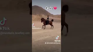 وفين قلبى اللي خدته معاك    دندنها