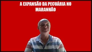 Professor Joan Botelho: A Expansão do Gado no Maranhão
