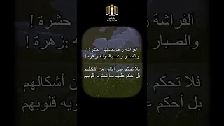 يقولون الحكم على الناس من الشكل اقتباسات حكم شعر عبر اكسبلور Explore 7akika سعودية المغرب 