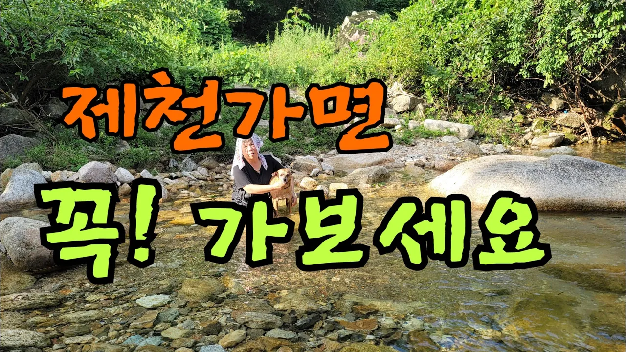 물이 진짜 끝내주는 청정계곡 추천합니다 サムネイル