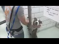 Erie county SPCA Pets for Vets initiative