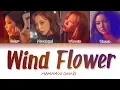 Download Lagu MAMAMOO(마마무)  - Wind Flower (Color Coded Lyrics Eng/Rom/Han/가사)