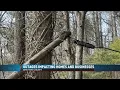 Grayson Co Galax Power Outages