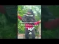 Download Lagu MASKER BRUKUT|DANCE WITH GOLOK SETAN|REAL MACHETE😱🎵🗡#shorts