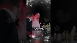 حالات واتس اب قطبيا حسين الجسمي فستانك الأبيض من حفل زفاف هشام جمال وليلي زاهر KOTB 