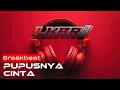 Download Lagu DJ PUPUSNYA CINTA REMIX BREAKBEAT FULLBASS VIRAL 2025 | LKBR