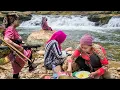 Download Lagu Petualangan 3 Wanita Dayak di Hutan Atas Batu Sungai deras Pedalaman Kalimantan