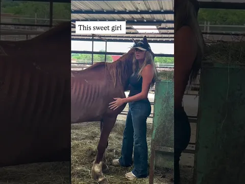 We're almost there. Please help the horse. #horse #help #equestrian #pony #rescue