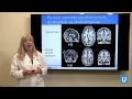 How Does a Child s Brain Develop Susan Y Bookheimer P UCLAMDChat